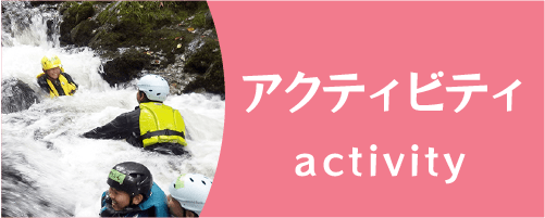 アクティビティボタン