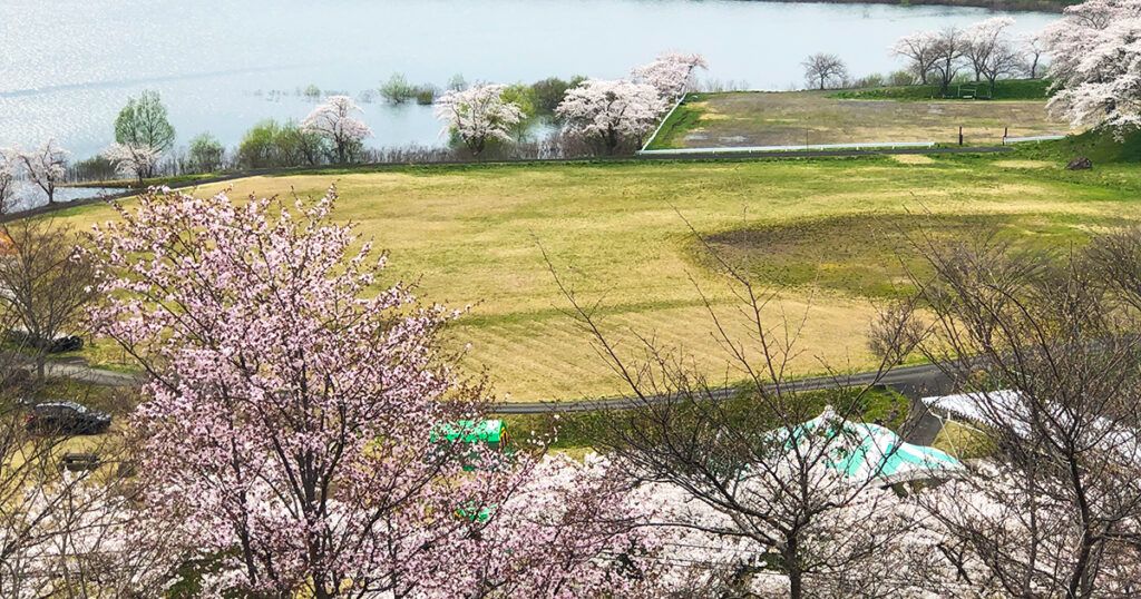 花山青少年旅行村のキャンプサイト