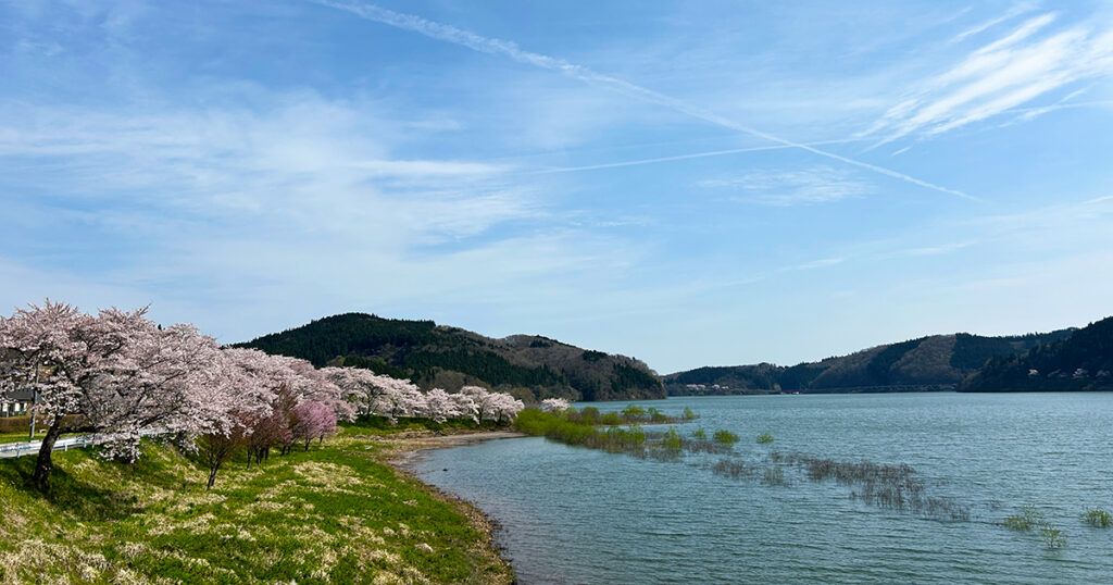 春の花山湖