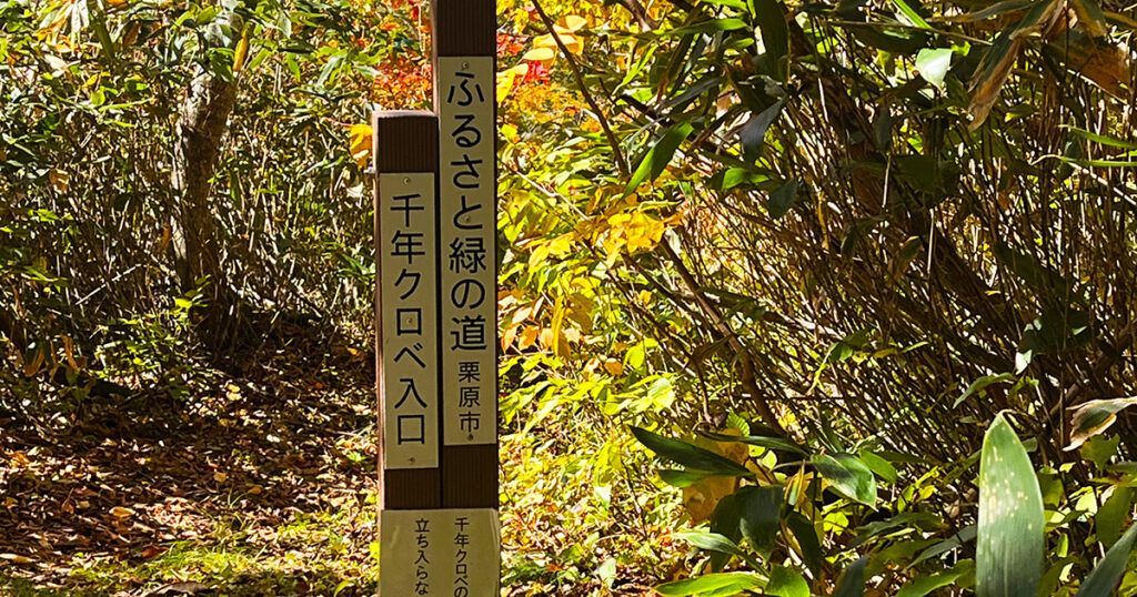 千年クロべの標識