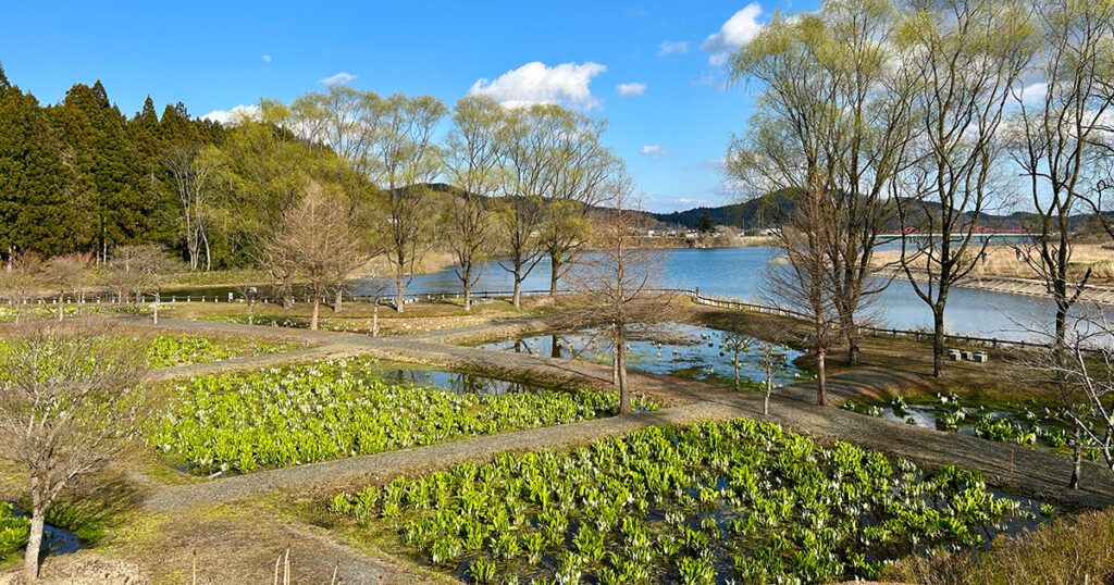 ミズバショウ公園の眺望