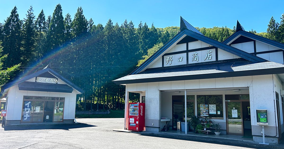野口商店