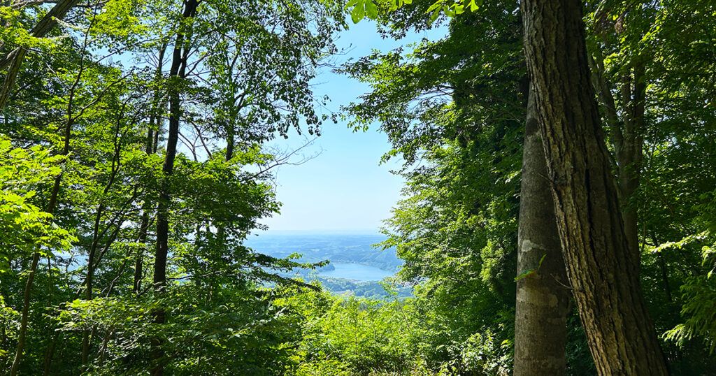 御駒山山頂