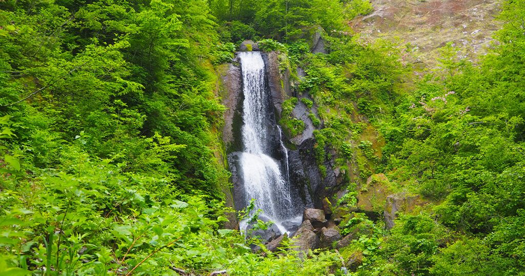 新緑の削沢の滝