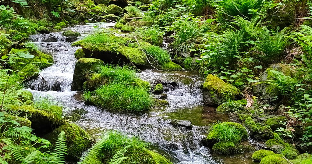 削沢の滝の川瀬