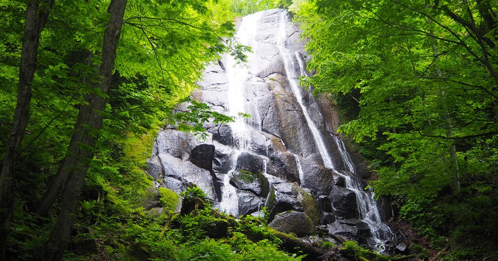 新緑の白糸の滝