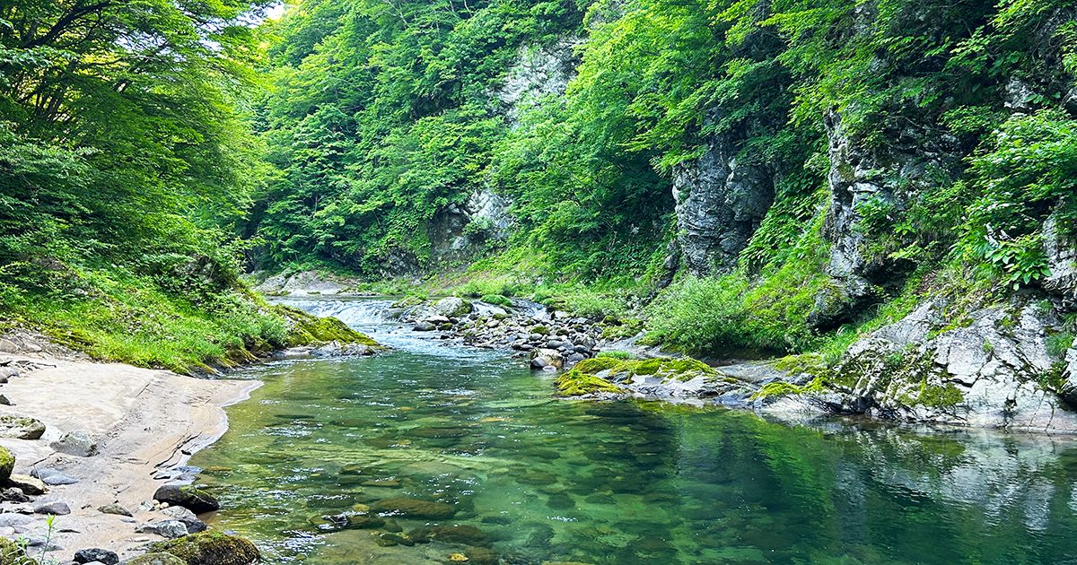 渓流釣り